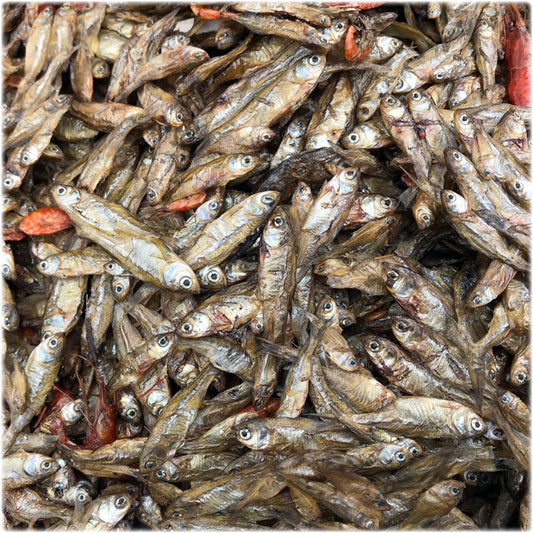 Muka Nga Dried Fish (Medium Size) – Traditional Manipuri Dry Fish | Lokqua