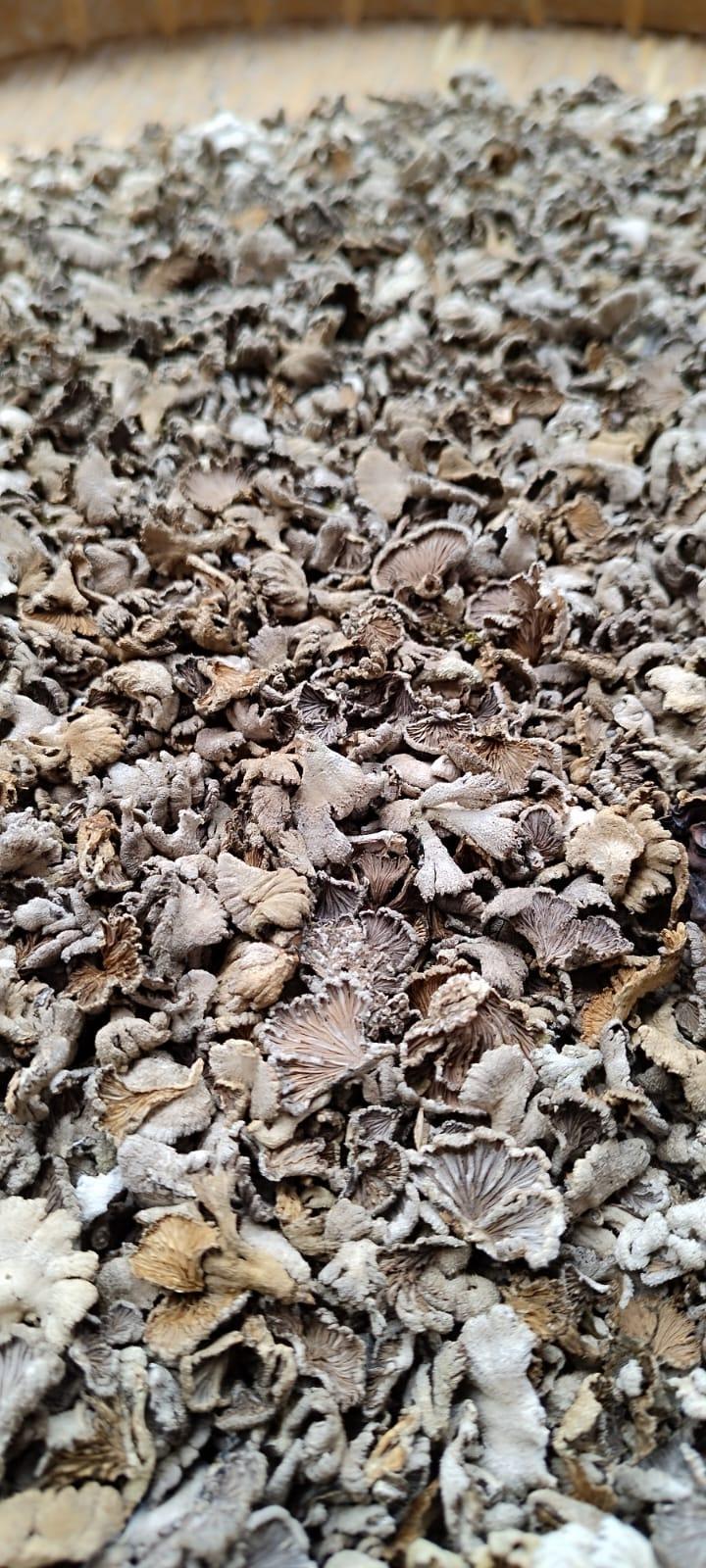 Khuman Kharai Dried Kanglayen - 50 gm - Pabung