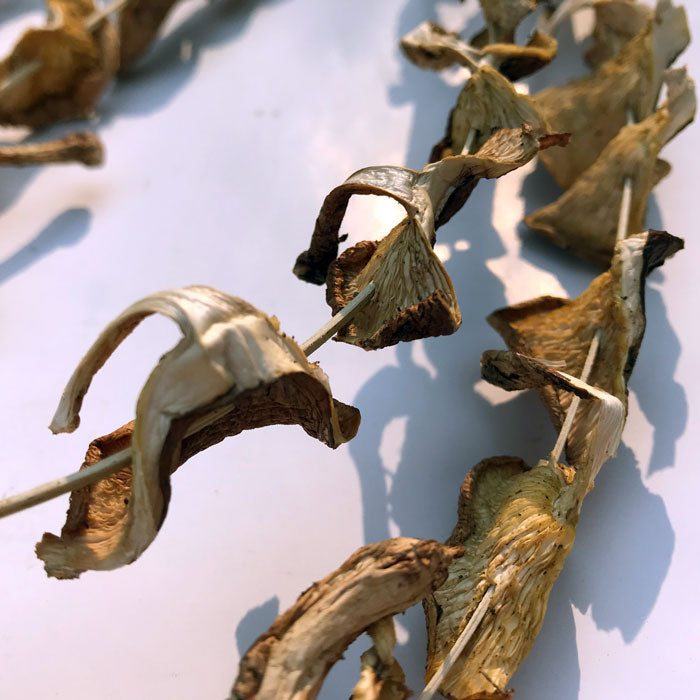 Khuman Kharai - Uyen Akangba (Dried Shittake Mushroom) - 50 gm